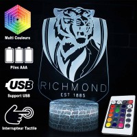 Lampe 3D LED du logo Richmond, télécommande et caractéristiques