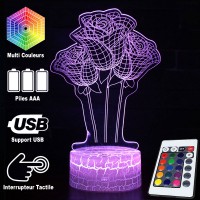 Lampe 3D Nature Roses Fleurs, télécommande et caractéristiques